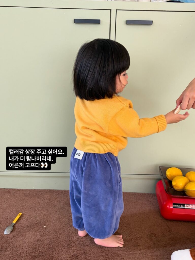 [콘] 벨로아홀릭팬츠