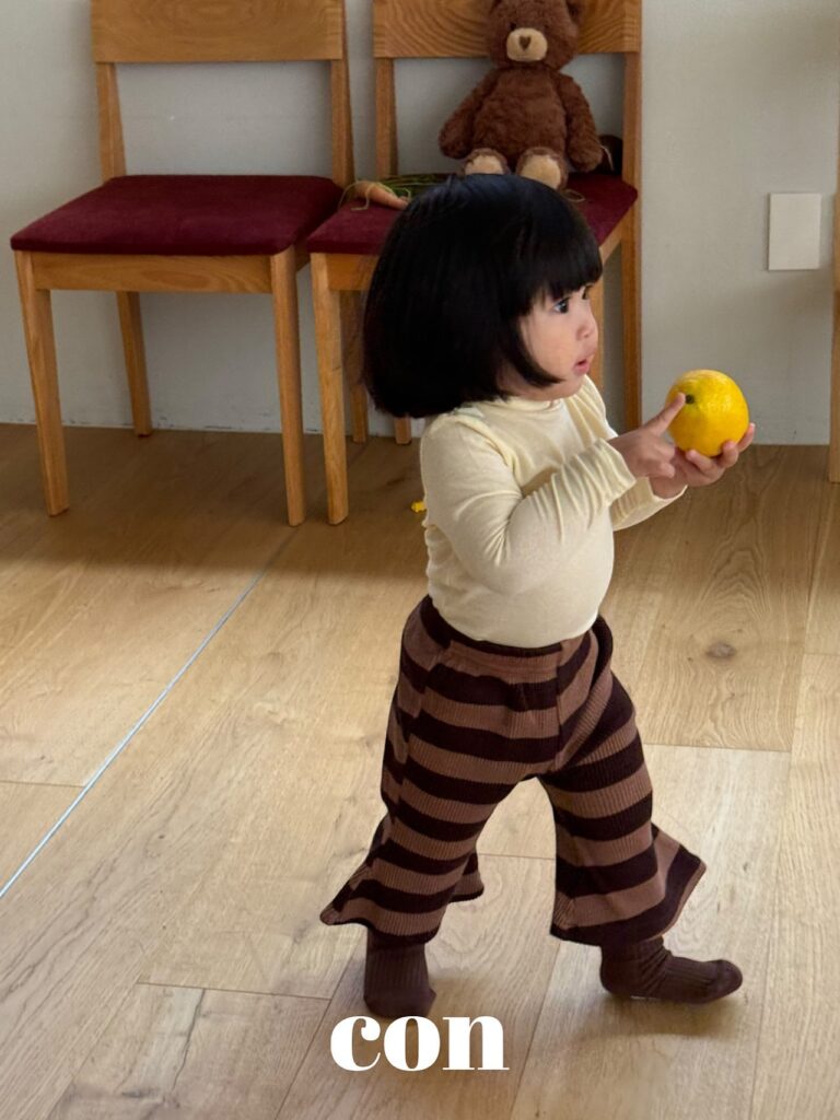 [콘] 딱좋은반폴라